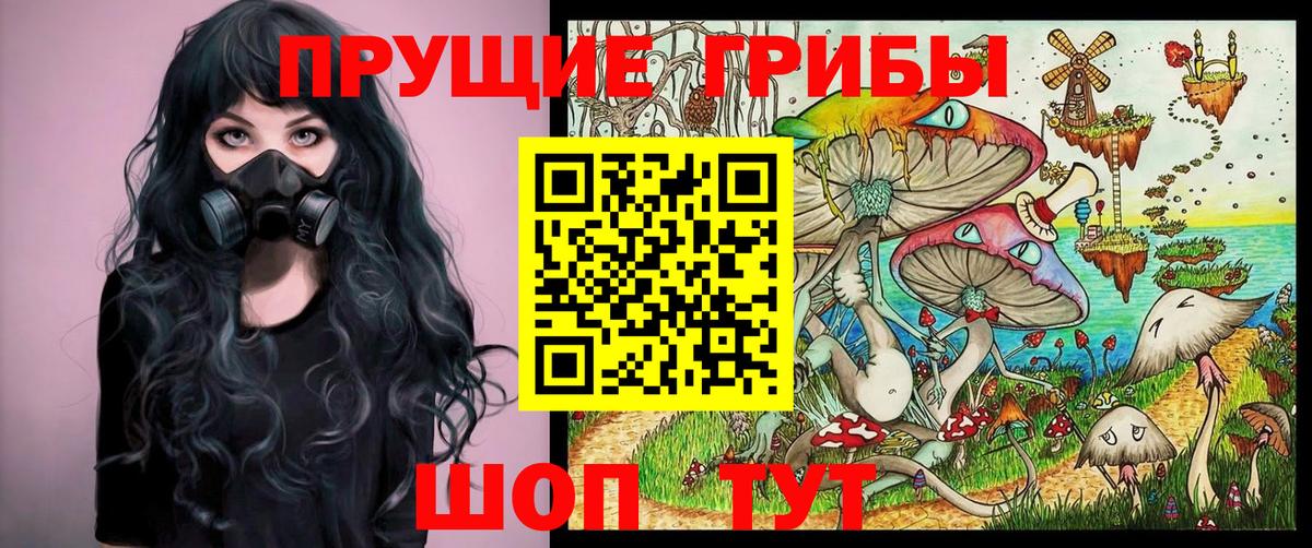 Ялуторовск  Галлюциногенные грибы Psilocybine cubensis  Вход с VPN 